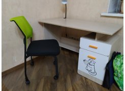 Стул Zola черный / зеленый фото покупателя 1